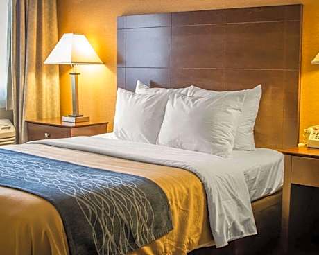 1 Queen Bed Nonsmoking Accessible