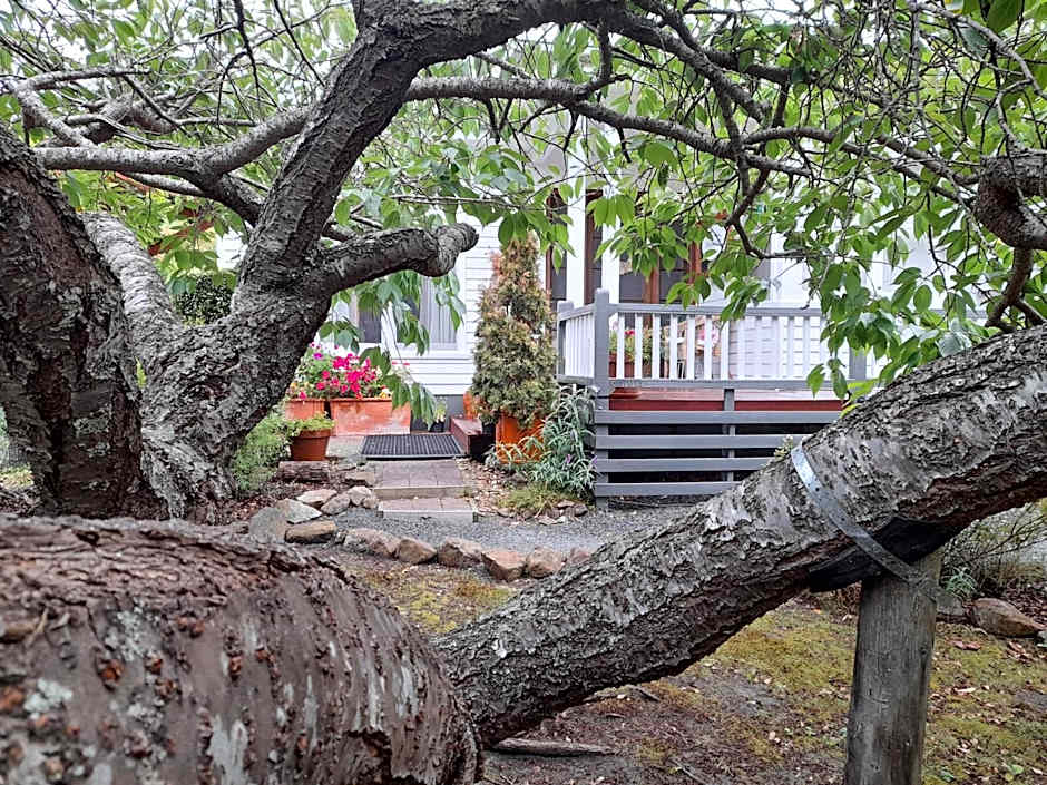 Hillside Bed and Breakfast