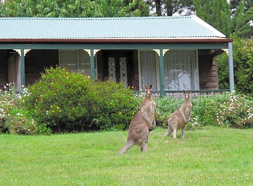 Cedar Lodge Cabins