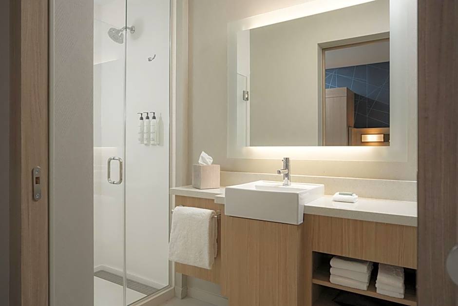 SpringHill Suites by Marriott Tampa Downtown