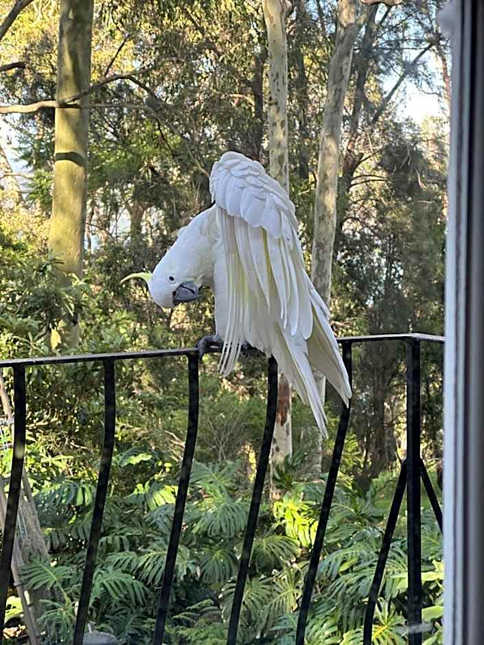 Palm Beach Bed & Breakfast