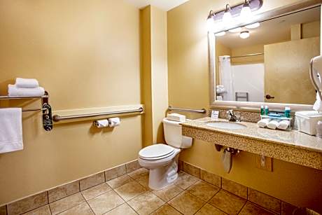 1 Queen Communication Mobility Accessible Roll Shower