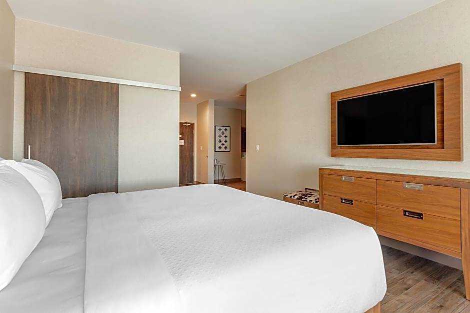 Cambria Hotel Richardson - Dallas