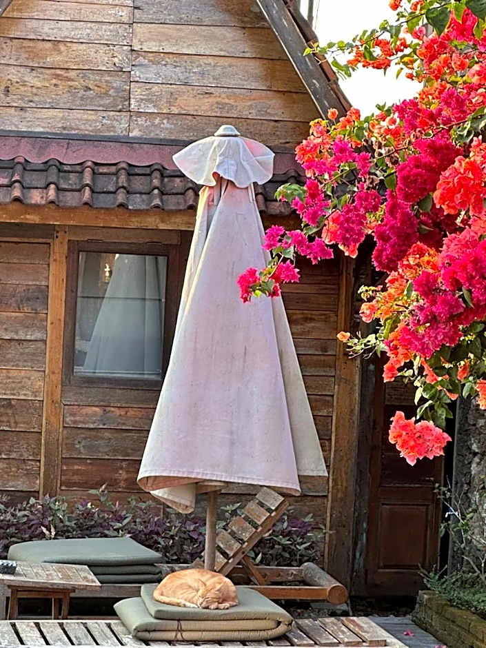 Pinokkio Bed and Breakfast