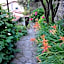 B&B I Glicini