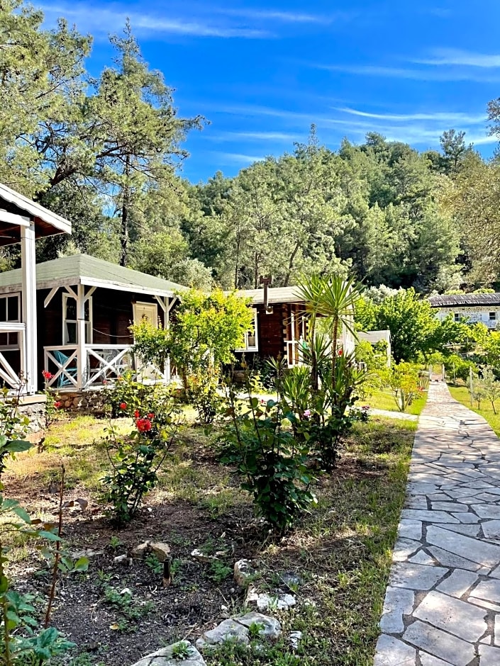 Olympos Angels Garden