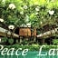 Peace Land Khaosan