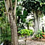 Conifer Beach House