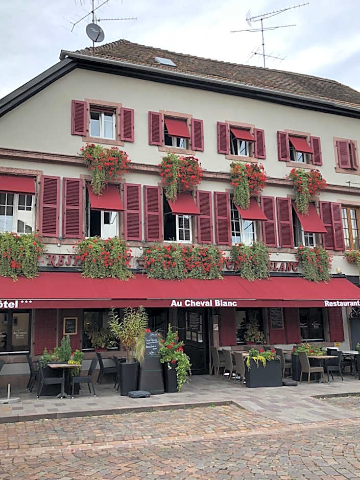 Hotel SPA Au Cheval Blanc