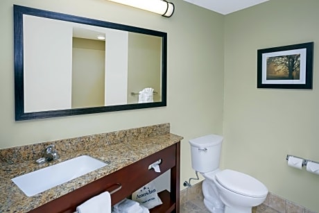 King Studio Suite with Bath Tub and Grab Bars - Mobility Accessible - Non-Smoking