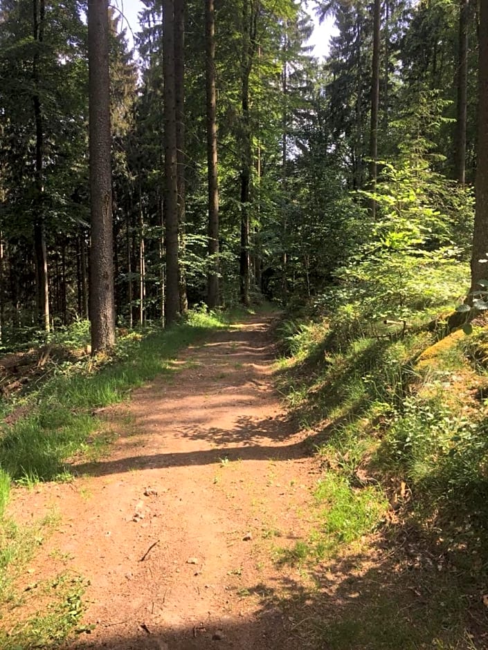 Natur & Wander Hotel Gassbachtal
