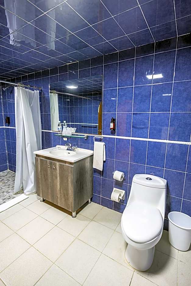 Hotel Casa Tequis San Luis Potosi