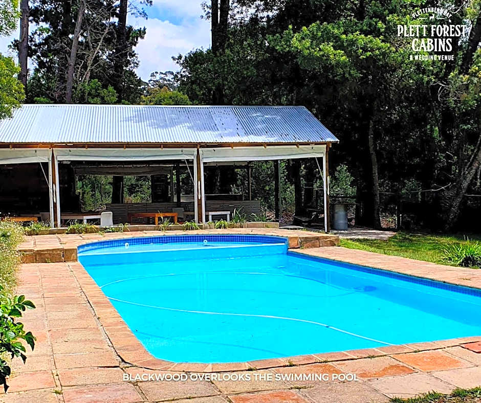 Plett Forest Cabins