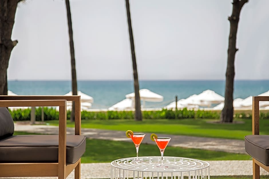 Acanthus and Cennet Barut Collectio