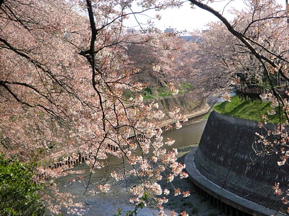 Sotetsu Fresa Inn Fujisawa Shonandai