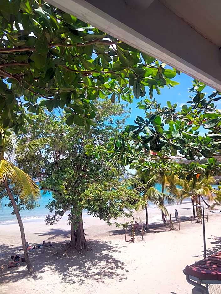 Courbaril Résidence