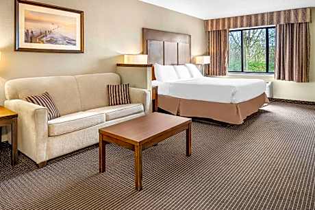 1 King Bed Suite Nonsmoking