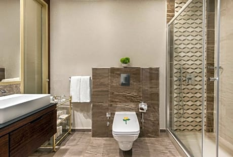 SINGLE SUITE WITH KING SIZE BED