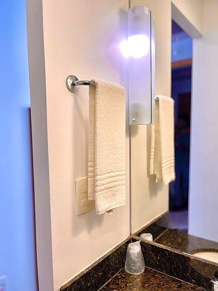 Hotel Express Vieiralves