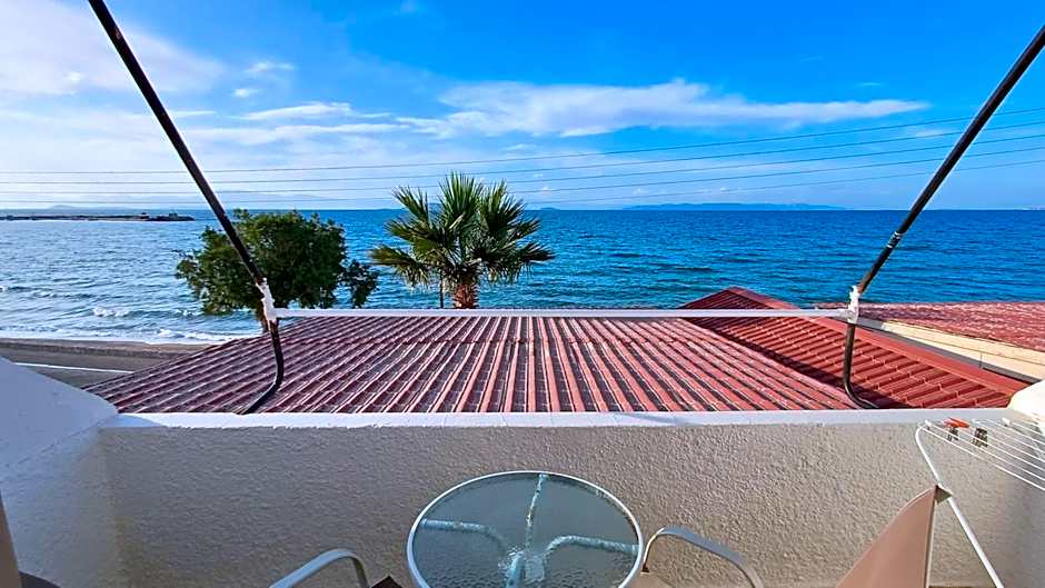 Hotel Beach Amaryllis