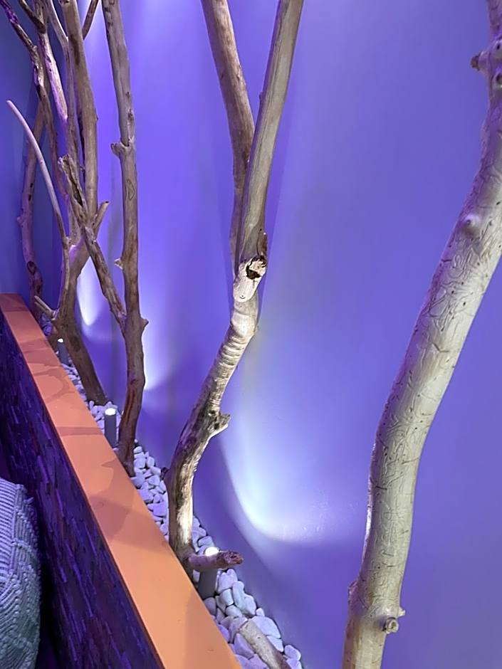 Hotel et Spa du Scharrach