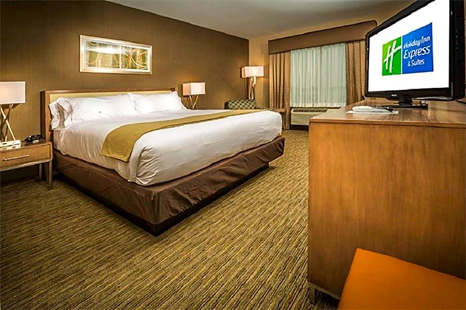 Holiday Inn Express & Suites Salt Lake City South-Murray By IHG