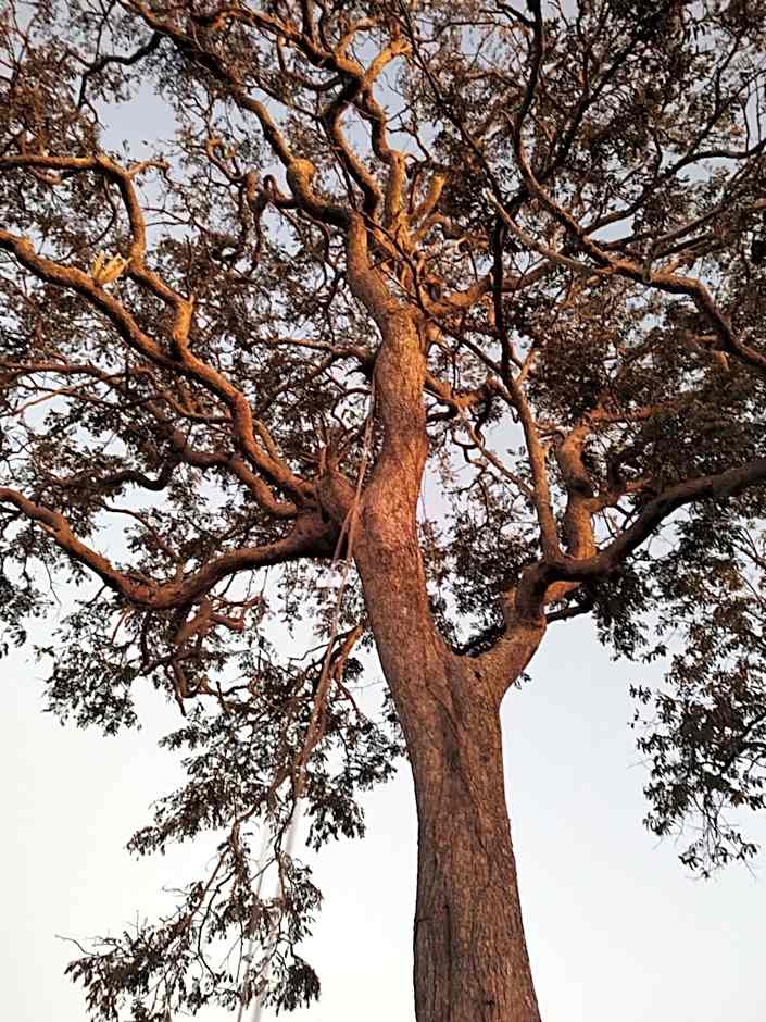 Pousada Campestre Cunha-SP