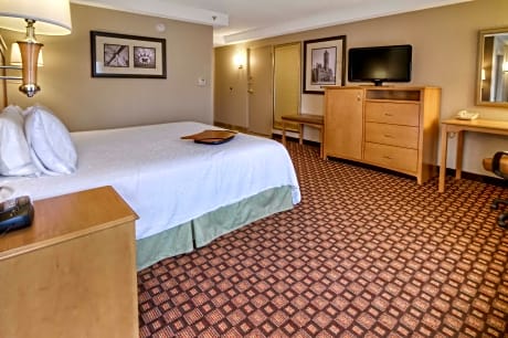 1 King Study W/Sofabed-Fridge Nonsmoke