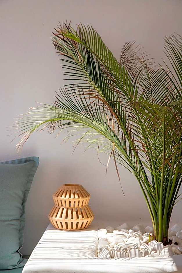 Euphoria Suites and Spa