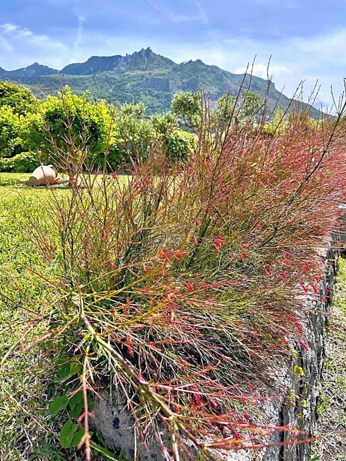 Hotel Boutique Ideal