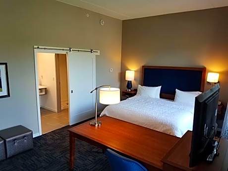 1 King Microwv/Fridge/Wet Bar Studio Suite Ns