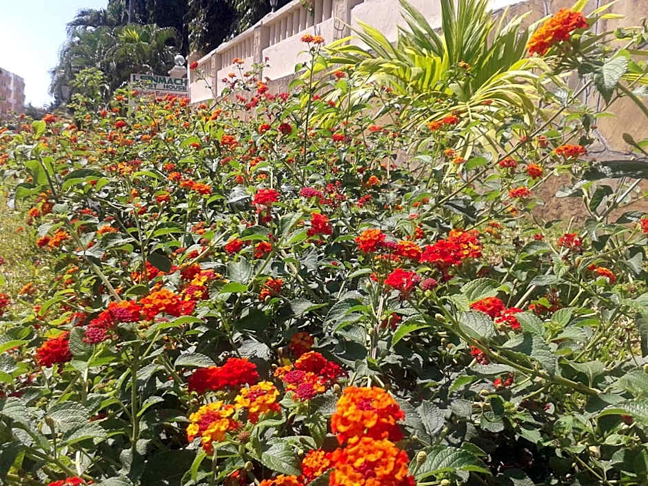 Leinmach House Nyali