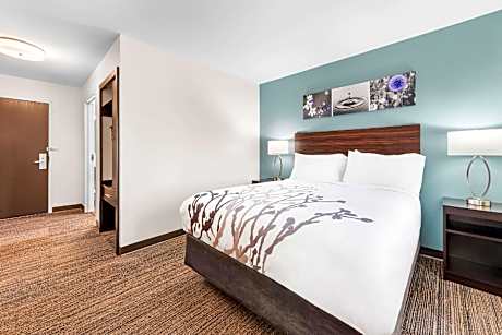 1 Queen Bed, Nonsmoking, Accessible