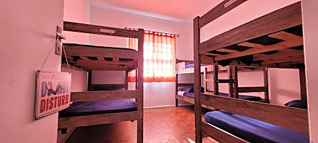 Bed in 6-Bed Mixed Dormitory Room