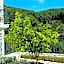 Natura Luxury Suites Parga