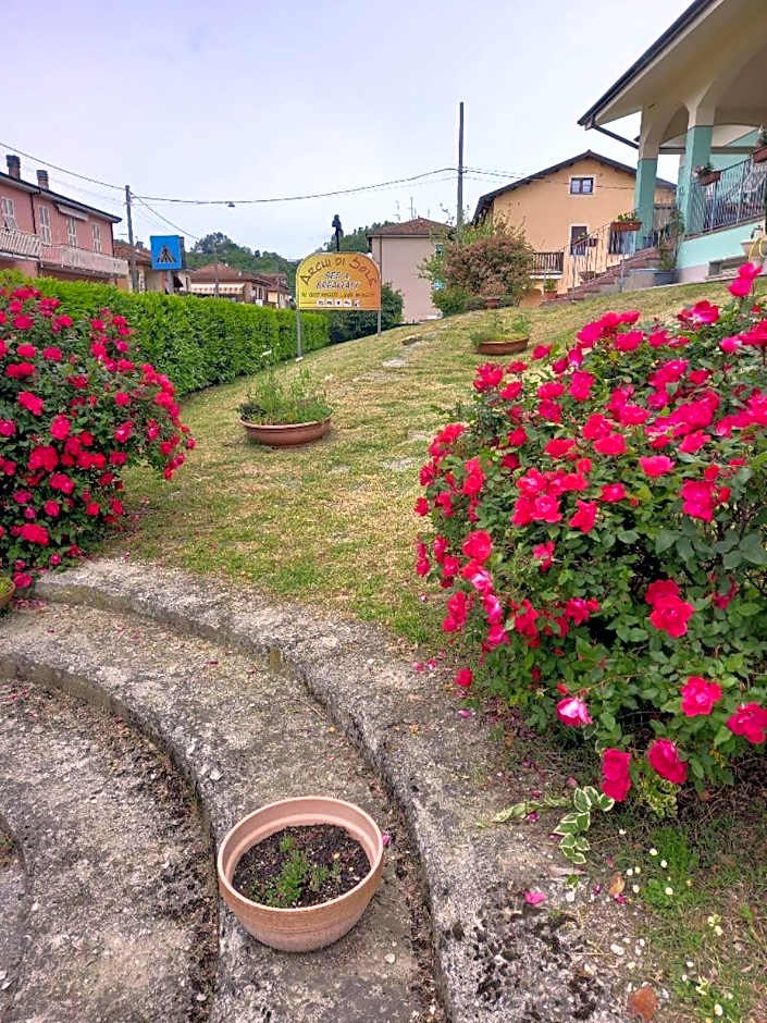 Archi Di Sole
