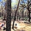 Riva dei Greci Camping Village