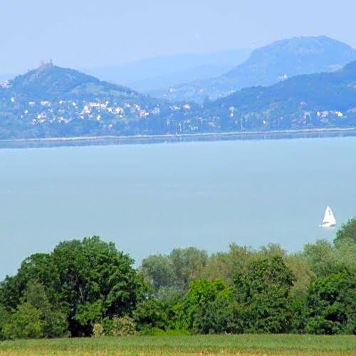 Viktor Bor- és Vendégház****