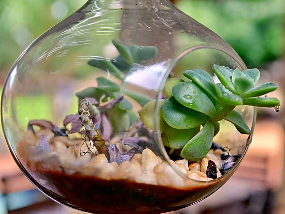 Winterfell Lephalale Lodge