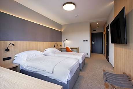 Twin Room with Lake View