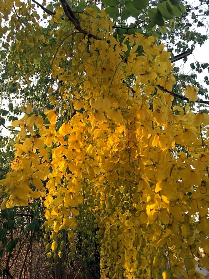 Home by the Bridge Hotel