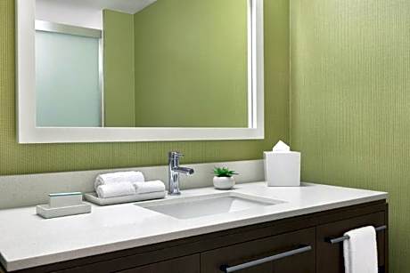 2Queen Accessible Bathtub Studio Nonsmoking