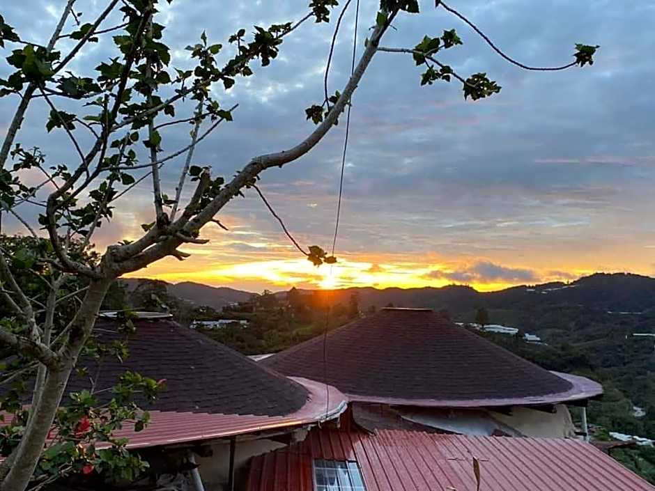 Cameron Highlands Blueberry Earth House