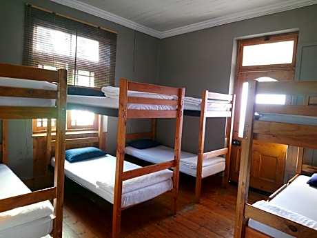 Bed in 8-Bed Mixed Dormitory Room