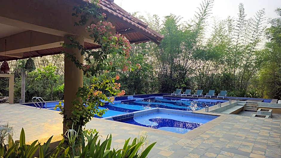 The Celebration Van Vilas