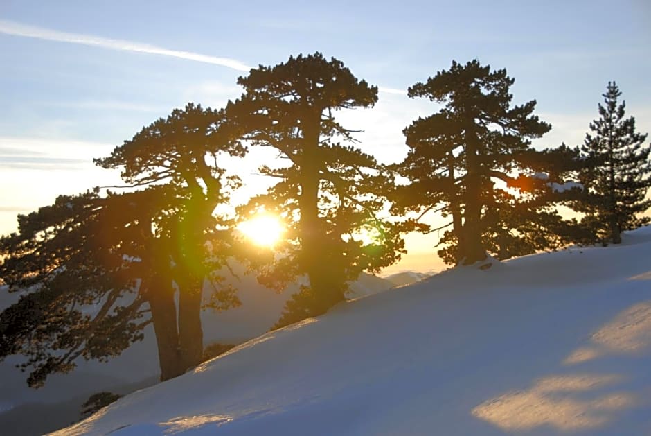 Tana Libera Tutti 1 Nature, Yourself, Love