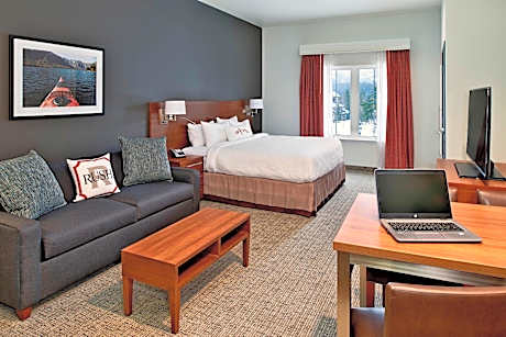 Studio, 1 King, Sofa bed, Mountain view