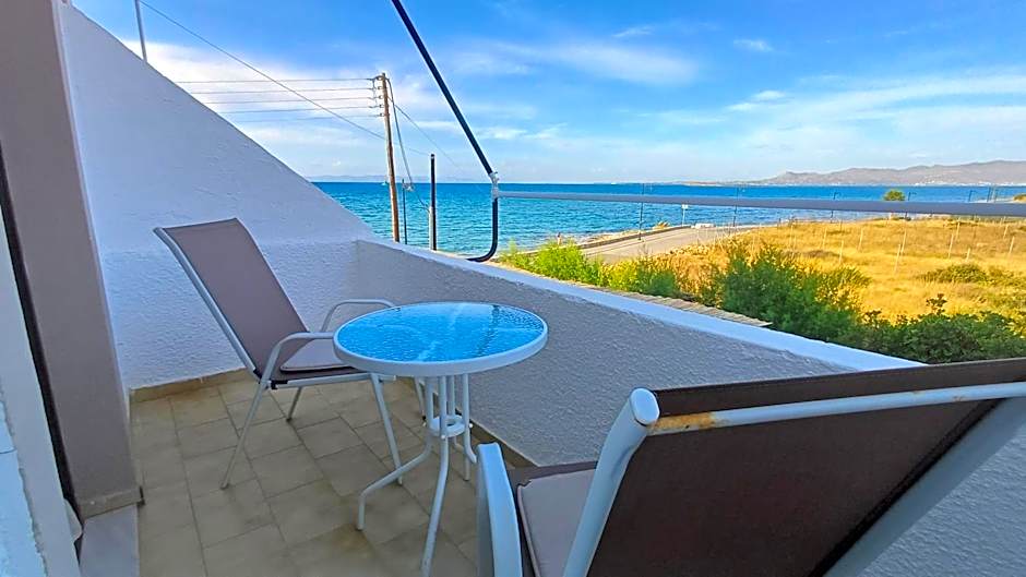 Hotel Beach Amaryllis