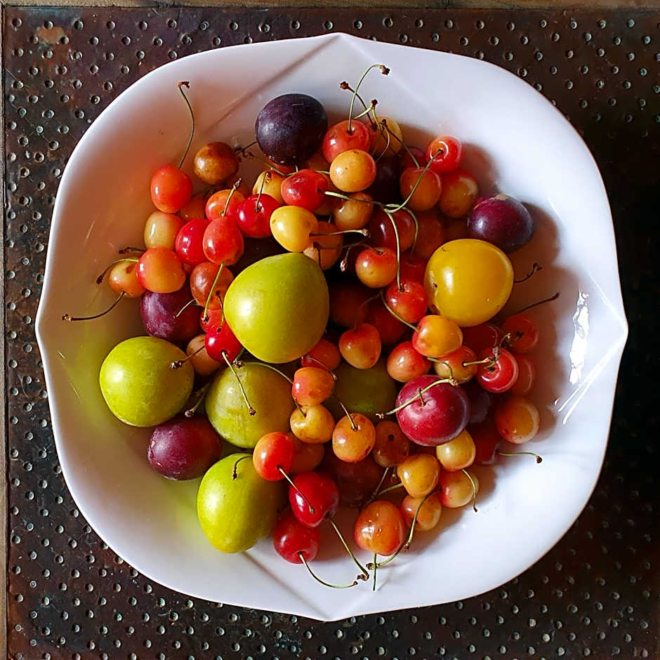 Dar Assarou - Toubkal National Park Lodge