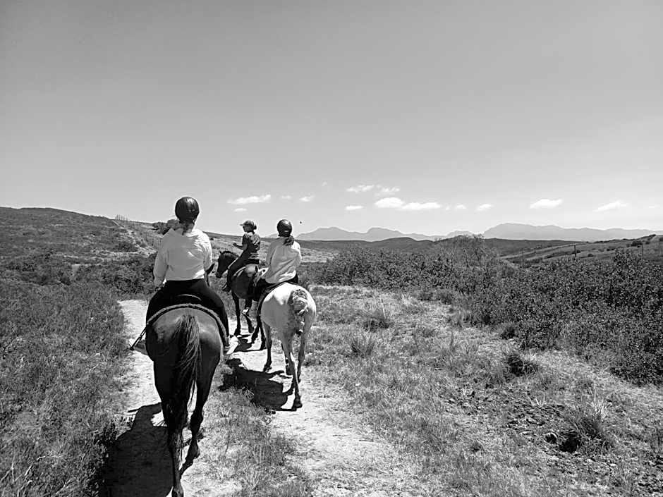 Garden Route Safari Camp